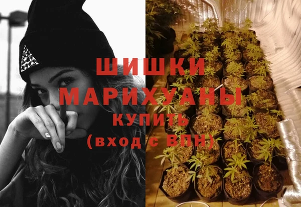 ПСИЛОЦИБИНОВЫЕ ГРИБЫ Осташков