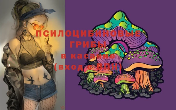 ПСИЛОЦИБИНОВЫЕ ГРИБЫ Осташков