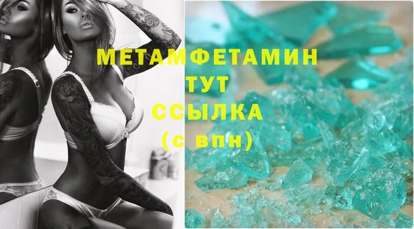 ПСИЛОЦИБИНОВЫЕ ГРИБЫ Осташков