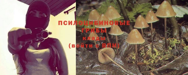 ПСИЛОЦИБИНОВЫЕ ГРИБЫ Осташков