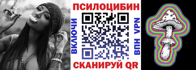 Псилоцибиновые грибы мухоморы  продажа наркотиков  Холмск 