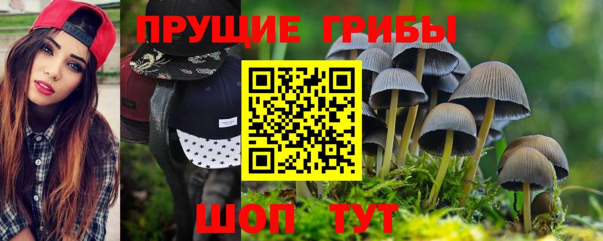 Холмск  Псилоцибиновые грибы MAGIC MUSHROOMS  магазин  наркотиков  Псилоцибиновые грибы Magic Shrooms  Вход с VPN 